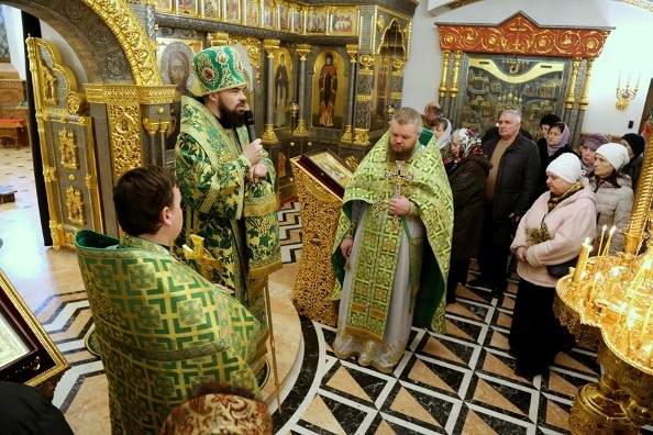 Архиепископ Горловский и Славянский Митрофан: Освятить вербу, но не быть на богослужениях Страстной Седмицы, не имеет смысла