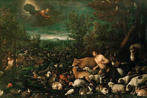 Якопо Бассано (1510-1592). Бог выносит приговор Адаму.