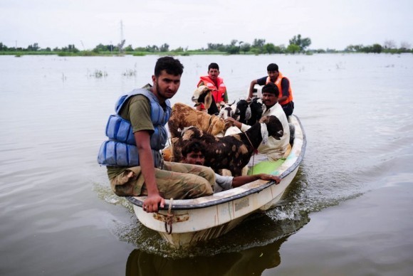 Наводнение в Пакистане (5)