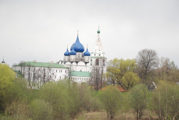 Вид на Суздальский Кремль