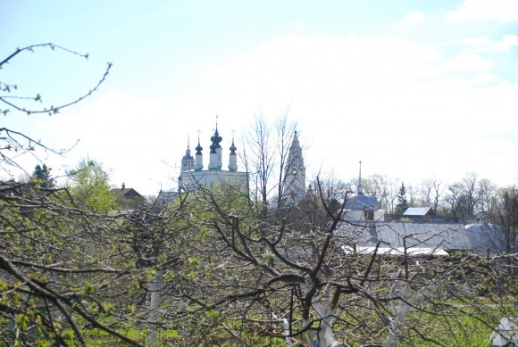 Вид на яблоневый сад Покровского монастыря