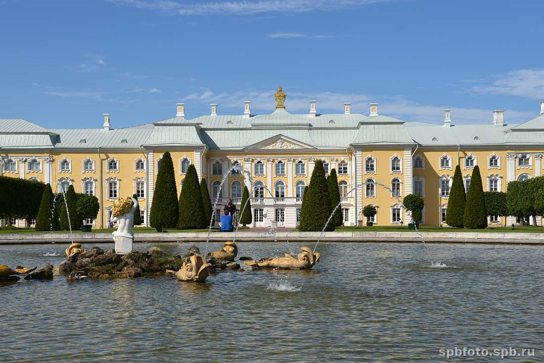 Большой дворец. Петергофский дворцово-парковый ансамбль. Россия. Петергоф. Дворцовый ансамбль. Большой дворец дворцово парковый ансамбль. Петергоф большой дворец парк.