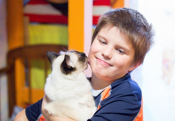 Даниил, 8 лет, и кошка Джесси