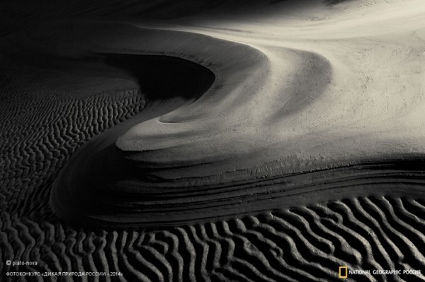 «Платиновые пески». 3-е место в номинации «Природа в черно-белых тонах». Автор: Катя Платонова. 