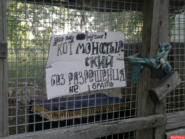 Кота в клетке не было... Ачаирский монастырь, Омская область. Фото: Rnrasfokus.ru
