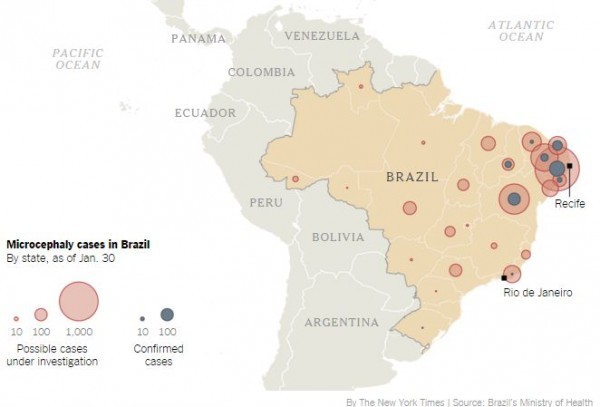 Карта случает микроцефалии в Бразилии
