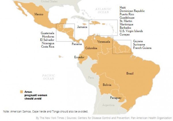 Страны, посещать которые не рекомендуется беременным женщинам
