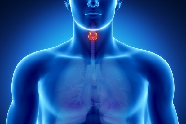 Востоков о лечении щитовидной железы