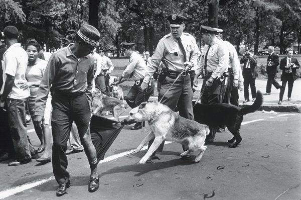 Чарльз Мур. Бирмингем, штат Алабама. 1963. «Фотографии полицейских собак, бросающихся на демонстрантов в Бирмингеме, совершенно переменили общественное настроение», – Артур Шлезингер, историк. 
