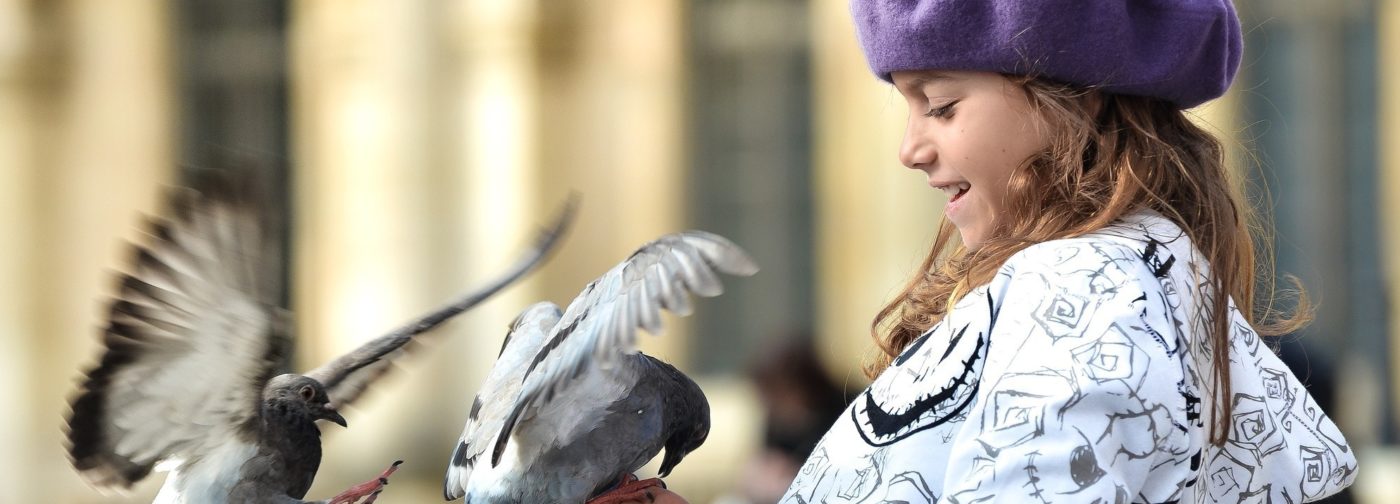 Лечение голубей | Кот Матроскин
