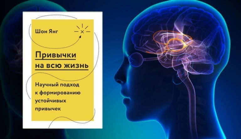 Мозг напрокат как работает человеческое мышление и как создать душу для компьютера редозубов алексей