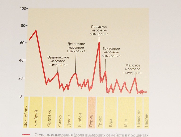 Пермское вымирание причины. Массовые вымирания в истории земли. 5 Массовых вымираний в истории земли. Периоды вымирания. Массовые вымирания график.