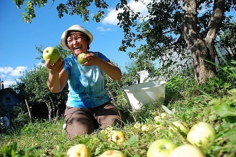 Фото дачника на огороде