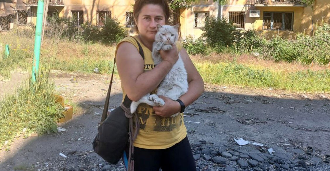 «Я вывезла 600 кошек из подвалов Мариуполя». Рассказ волонтера