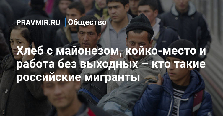 Хлеб с майонезом, койко-место и работа без выходных – кто такие российские  мигранты | Правмир